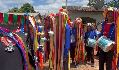 Boi Caprichoso: Uma Jornada de Alegria e Tradição Rumo ao Barracão do Mucura
