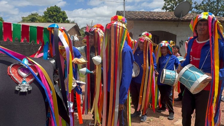 Boi Caprichoso: Uma Jornada de Alegria e Tradição Rumo ao Barracão do Mucura