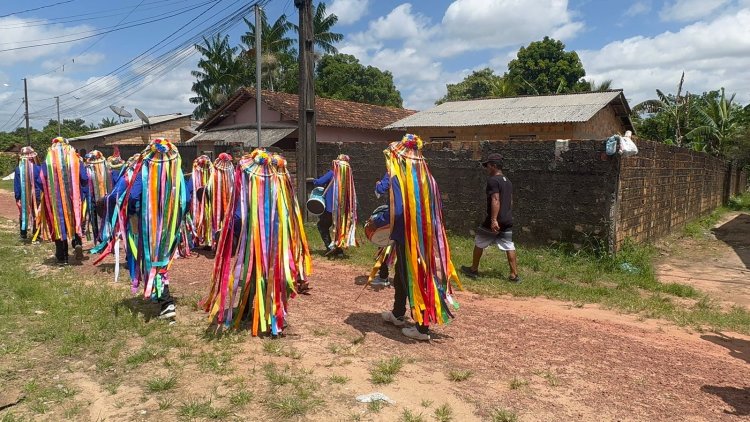 Boi Caprichoso: Uma Jornada de Alegria e Tradição Rumo ao Barracão do Mucura