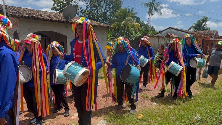 Boi Caprichoso: Uma Jornada de Alegria e Tradição Rumo ao Barracão do Mucura
