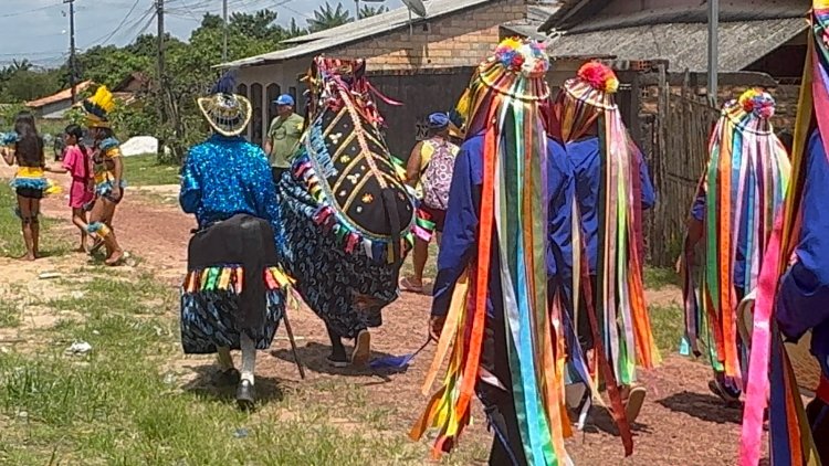 Boi Caprichoso: Uma Jornada de Alegria e Tradição Rumo ao Barracão do Mucura