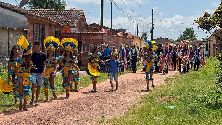 Boi Caprichoso: Uma Jornada de Alegria e Tradição Rumo ao Barracão do Mucura